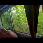 شارع الاهرام